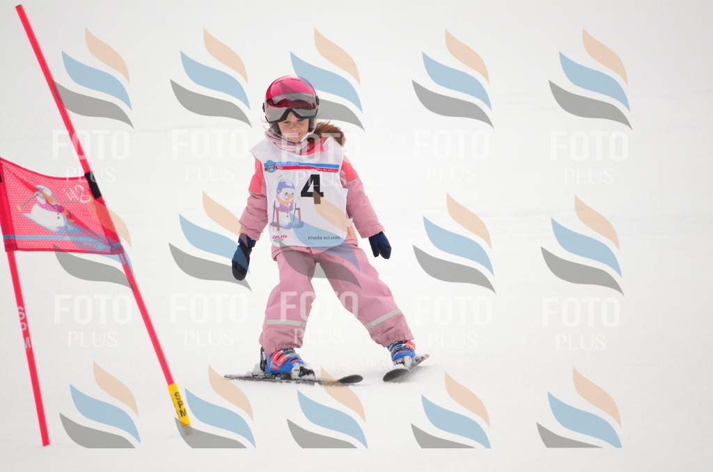 B9208 | holidayphoto