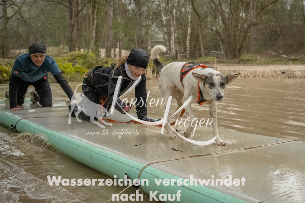 1059_ZZ93994-Bearbeitet | kk-dogfotos