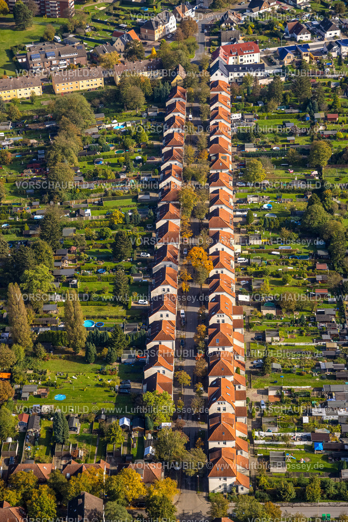Luenen241012488 | Luftbild, Alte Kolonie - Zechensiedlung Lünen Brambauer, Reihenhäuser mit roten Dächern und Gartenanlagen, Brambauer, Lünen, Ruhrgebiet, Nordrhein-Westfalen, Deutschland