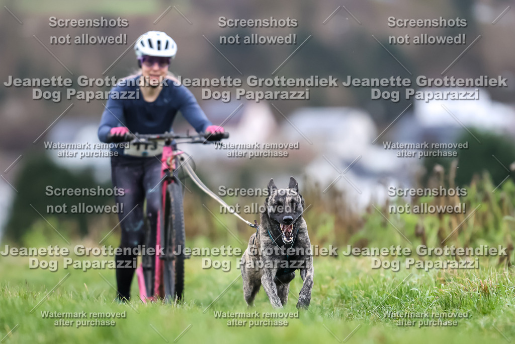 Dog Paparazzi - Herkules Race  2025-20 | Dog Paparazzi Jeanette Grottendiek Fotografie & Videografie - Realisiert mit Pictrs.com