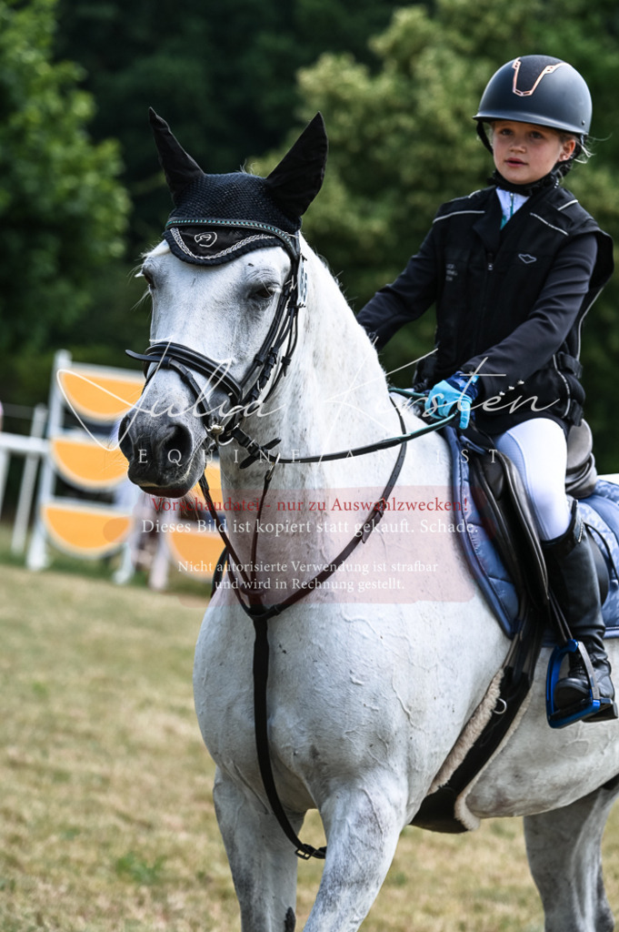 DSC_9808 | Pferde- und Turnierfotografie in Westsachsen. Pferdeportraits, Auftragszeichnungen und intuitive Kunst.