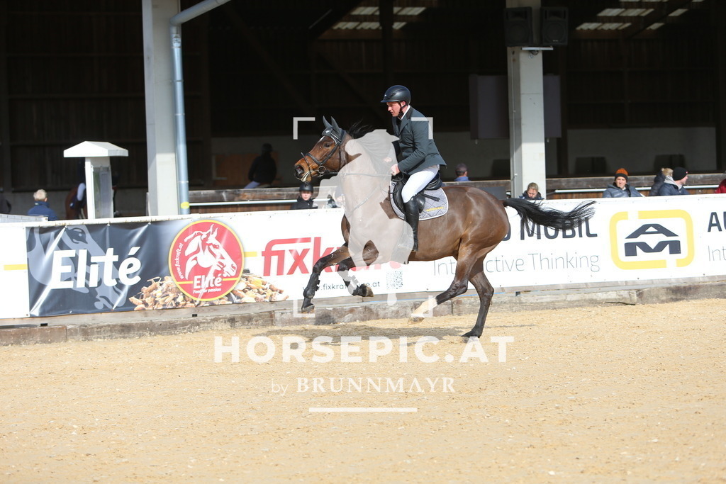 DL2Q8530 | Willkommen bei Brunnmayr - Design & Fotografie – Ihrem Spezialisten für Reitturniere und Pferdeveranstaltungen in Oberösterreich, Salzburg und Bayern! Seit über 17 Jahren sind wir leidenschaftlich dabei.