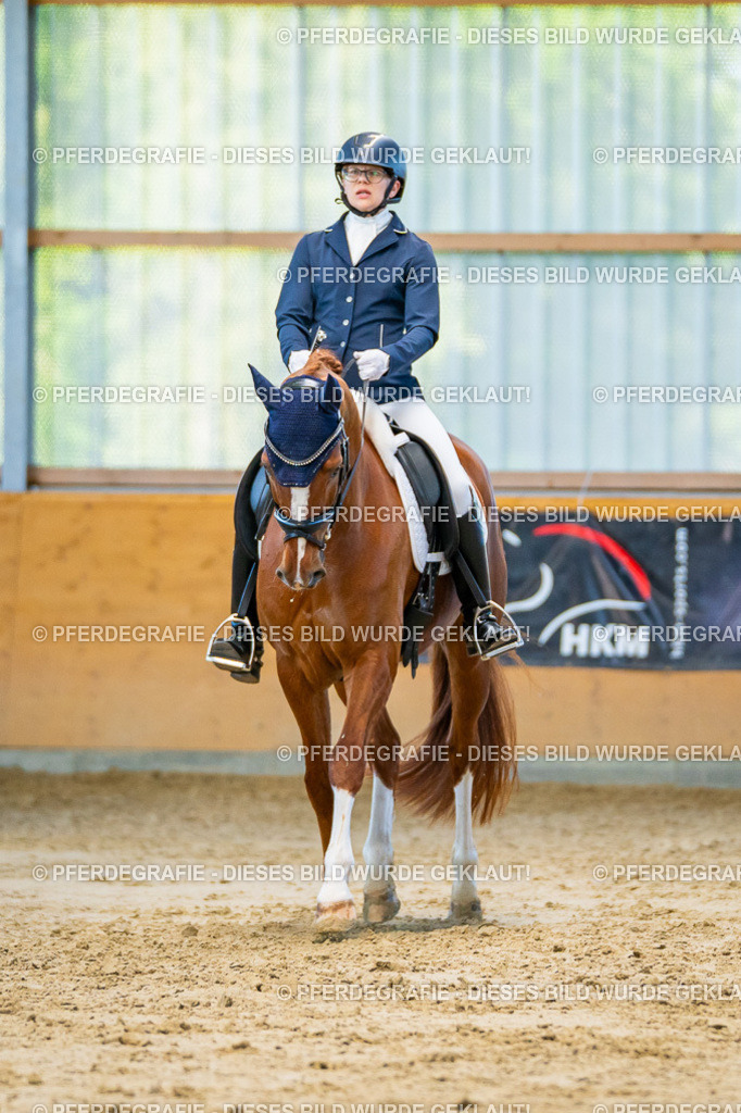 DSC06476 | Pferdegrafie