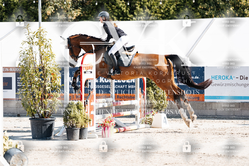 CK905082 | Turnierfotografie Pferdefotografie Trier Rheinland-Pfalz Pferdesport Reitsport Tierfotografie Sportfotografie Pferdevideo Pferdevideografie Equestrianvideography equestrianphotography  - Realisiert mit Pictrs.com