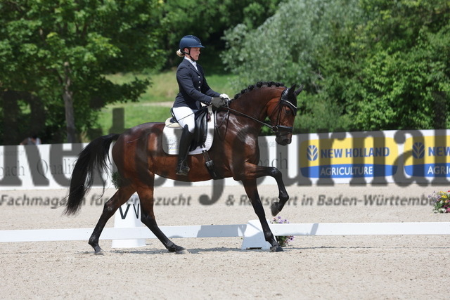 Weilheim_2024_Prfg.Nr.16_3-jähr.Stuten und Wallache_Nicola Haug_Glamorous Gigi (20) | Alle Fotos der Reiterjournal Fotografin Doris Matthaes im Reiterjournal Online-Fotoshop. - Realizado com Pictrs.com