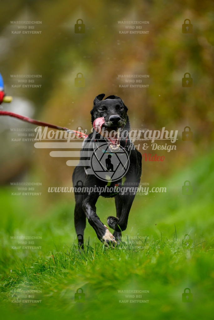 MompixPhotography_20TSB_E8_Bike-136 | PayLife