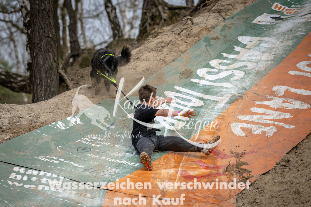 1223DSC_1487 | kk-dogfotos