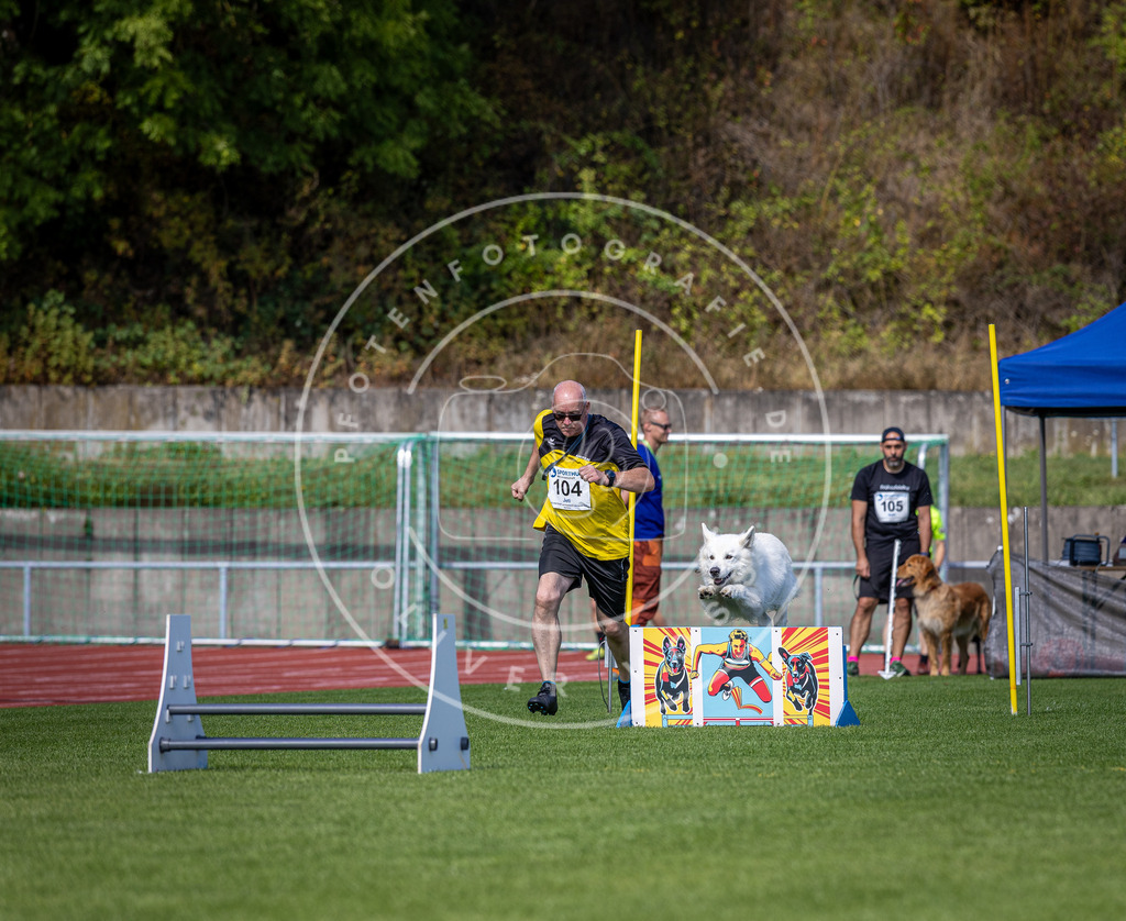 Pfotenfotografie_DV3A8089 | Hundefotografie, Tierfotograf, Pfotenfotografie, Fotoshooting Hund, Hunde Portrait, Hundesport, Hundeportraits, Heideshooting, Hunde, Sportfotograf, Hundefotograf, Turnierhundsport, THS,  - Realisiert mit Pictrs.com