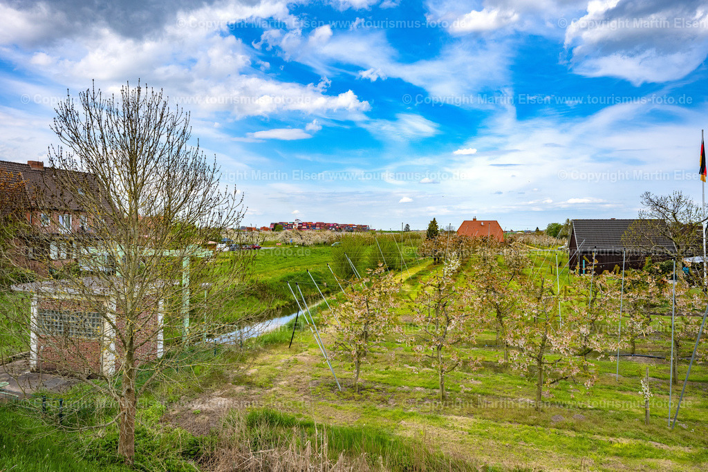 Lühe Kirschblüte Schiff auf der Elbe_ELS_5095010523 | Fotos aus den Touristenorten aus Norddeutschland. - Realisiert mit Pictrs.com