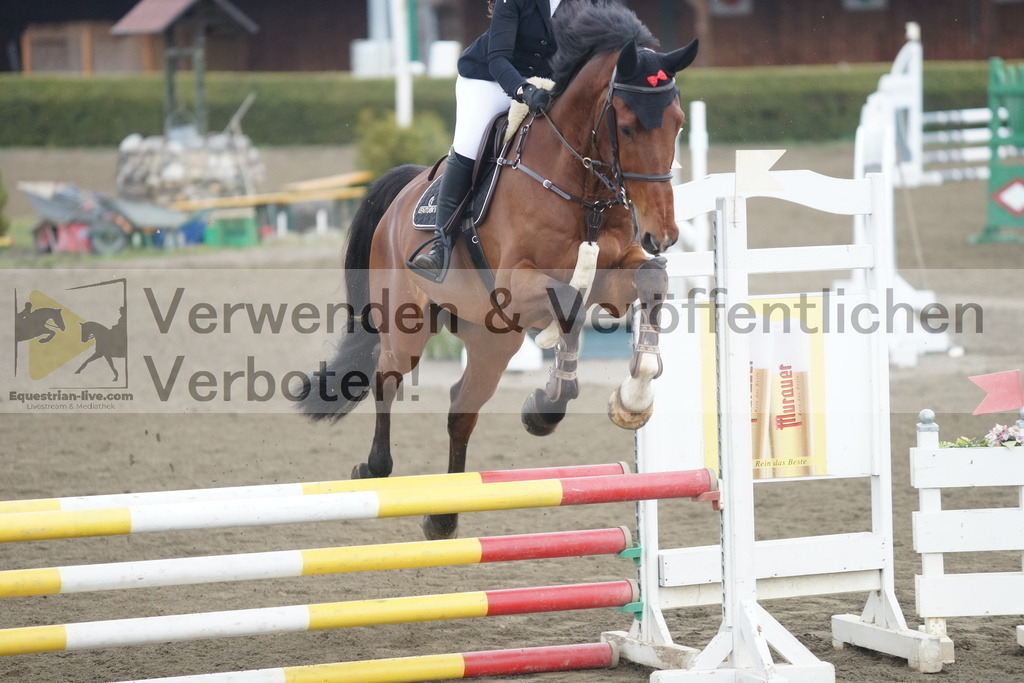 DSC00393 | equestrian-live-com