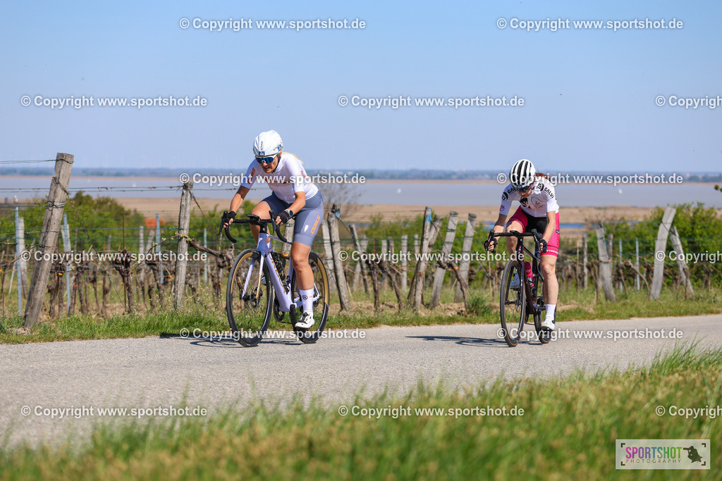 IMG_9595 | @sportshot_your_pictrs #yourpictures#roadtowm2029 #nrm #neusiedlerseeradmarathon #neusiedlersee #neusiedlerseetourismus #burgenland #mörbisch #nrm26 #burgenlandtourismus #voglundco #poweredbyburgenlandtourismus #radsport #rad #marathon #ucigranfondo #visitburgenland #ucigranfondoworldseries