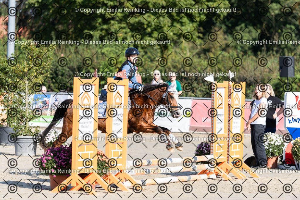 CL5A0138 | Emilia Reinking Fotografie - Realisiert mit Pictrs.com