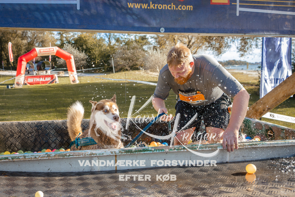 1450_ZZ95146-2 | kk-dogfotos