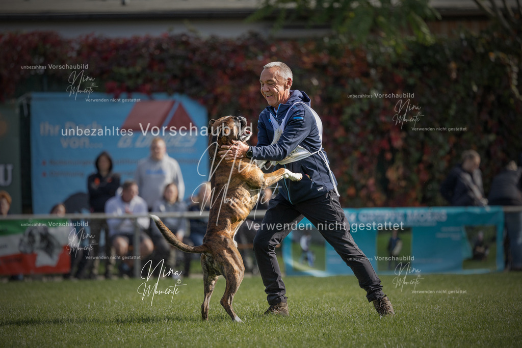 _16A5348-1 | Einzigartige Fotos von Hunden & Menschen –Actionfotos, Portraits, Vereinsaufnahmen & Paarshootings – authentisch, lebendig & mit Herz.