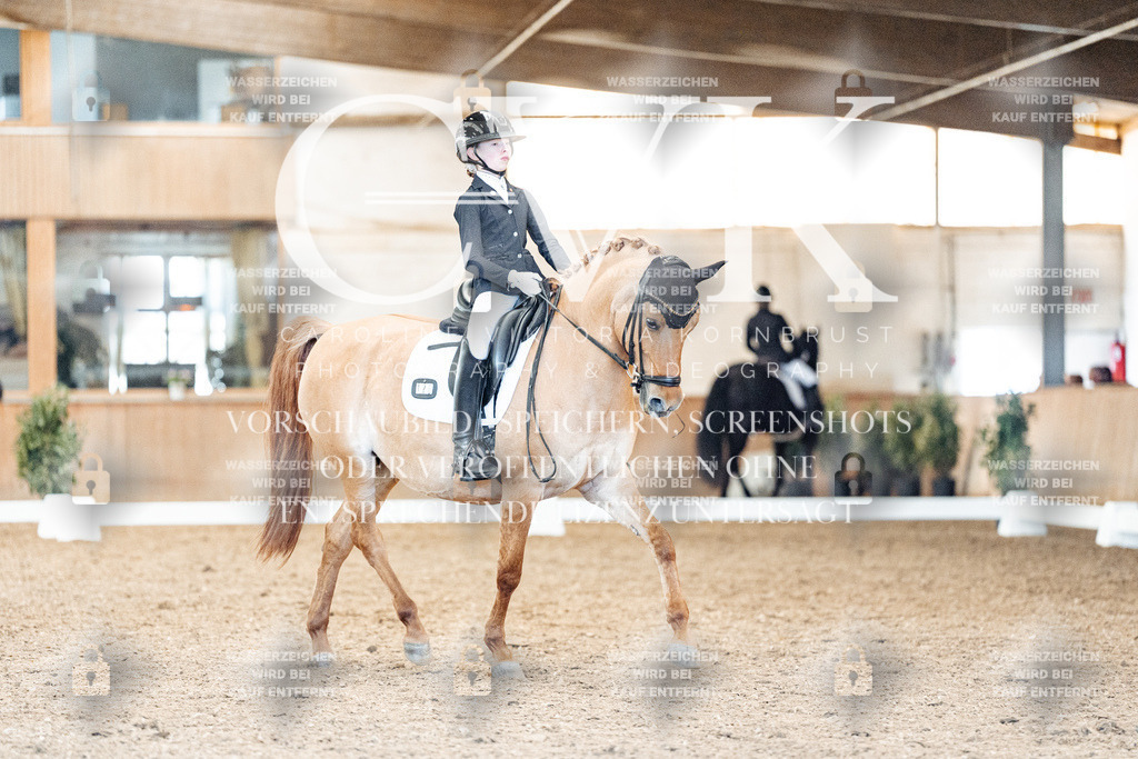 CK909584 | Turnierfotografie Pferdefotografie Trier Rheinland-Pfalz Pferdesport Reitsport Tierfotografie Sportfotografie Pferdevideo Pferdevideografie Equestrianvideography equestrianphotography  - Realisiert mit Pictrs.com
