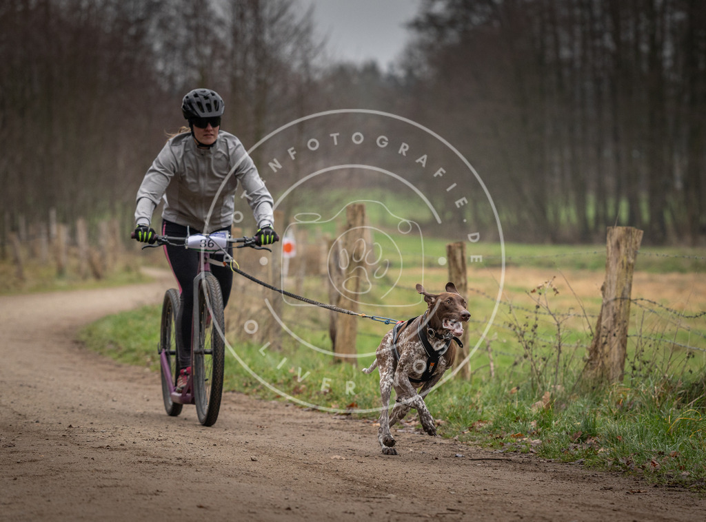 Pfotenfotografie_DV3A2428 | Hundefotografie, Tierfotograf, Pfotenfotografie, Fotoshooting Hund, Hunde Portrait, Hundesport, Hundeportraits, Heideshooting, Hunde, Sportfotograf, Hundefotograf, Turnierhundsport, THS,  - Realisiert mit Pictrs.com