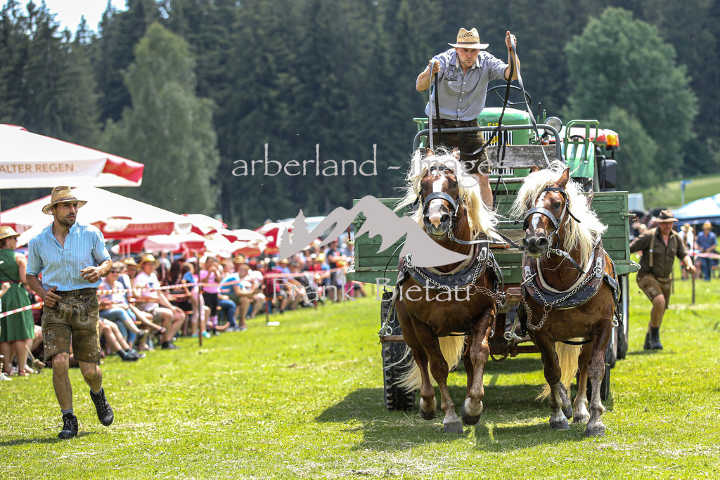 OE7A4503 | Beim Zugpferdetreffen in Poschedtsried galt es verschiedene Wettbewerbe zu meistern, Einzelrennen im Reiten, Traktorpulling und auch ein Hunderennen wurde veranstaltet