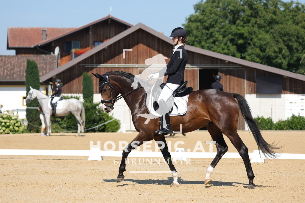 0P6A9103 | Willkommen bei Brunnmayr - Design & Fotografie – Ihrem Spezialisten für Reitturniere und Pferdeveranstaltungen in Oberösterreich, Salzburg und Bayern! Seit über 17 Jahren sind wir leidenschaftlich dabei.