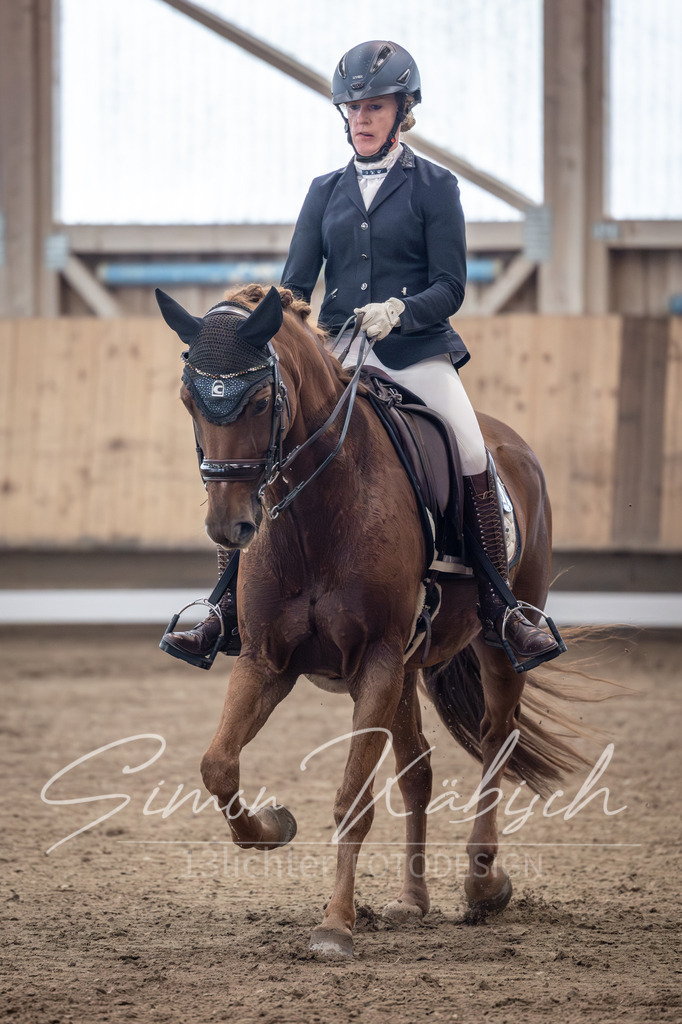 20251011-_3LI0999 | Tierfotografie Pferde, Hunde, Katzen, Haustiere.
Turnierfotografie Reitturniere, Reiten, Springreiten, Dressur in Hanau, dem Main-Kinzig-Kreis und dem Rhein-Main- Gebiet um Frankfurt