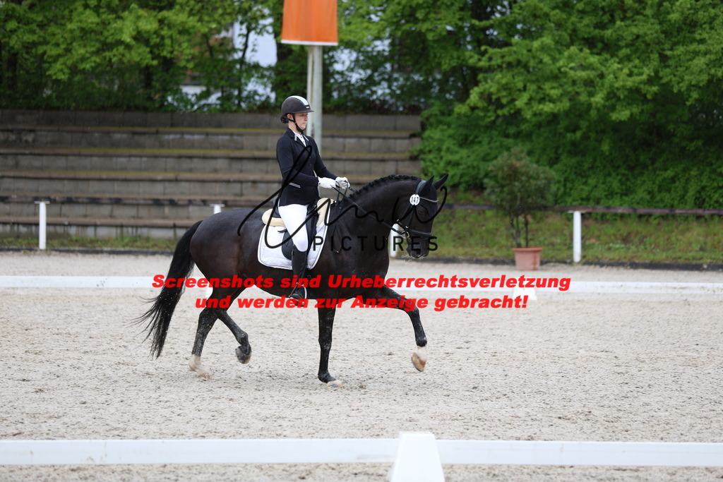 A40A9747 | lmwpictures - Realisiert mit Pictrs.com