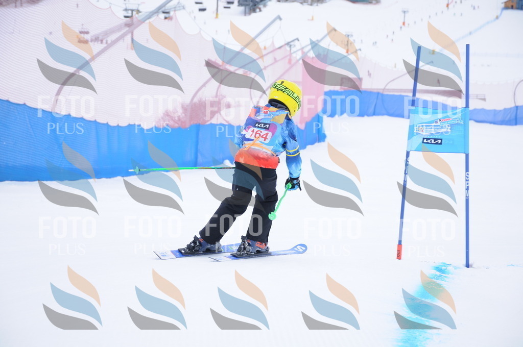 DSC_8872 | holidayphoto