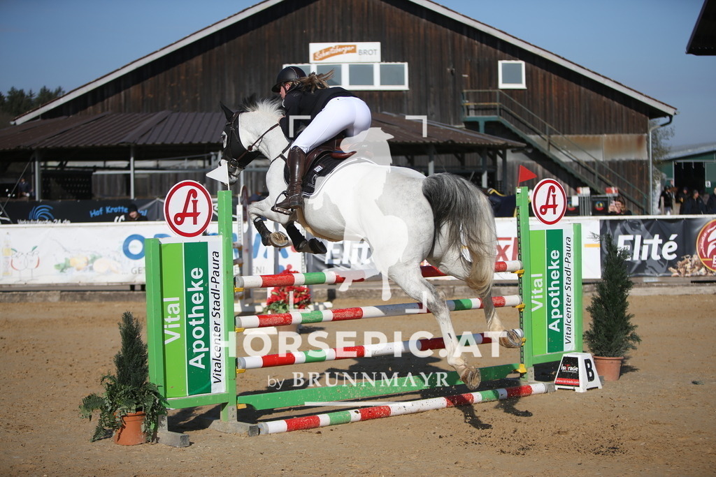 AS8V5254 | Willkommen bei Brunnmayr - Design & Fotografie – Ihrem Spezialisten für Reitturniere und Pferdeveranstaltungen in Oberösterreich, Salzburg und Bayern! Seit über 17 Jahren sind wir leidenschaftlich dabei.