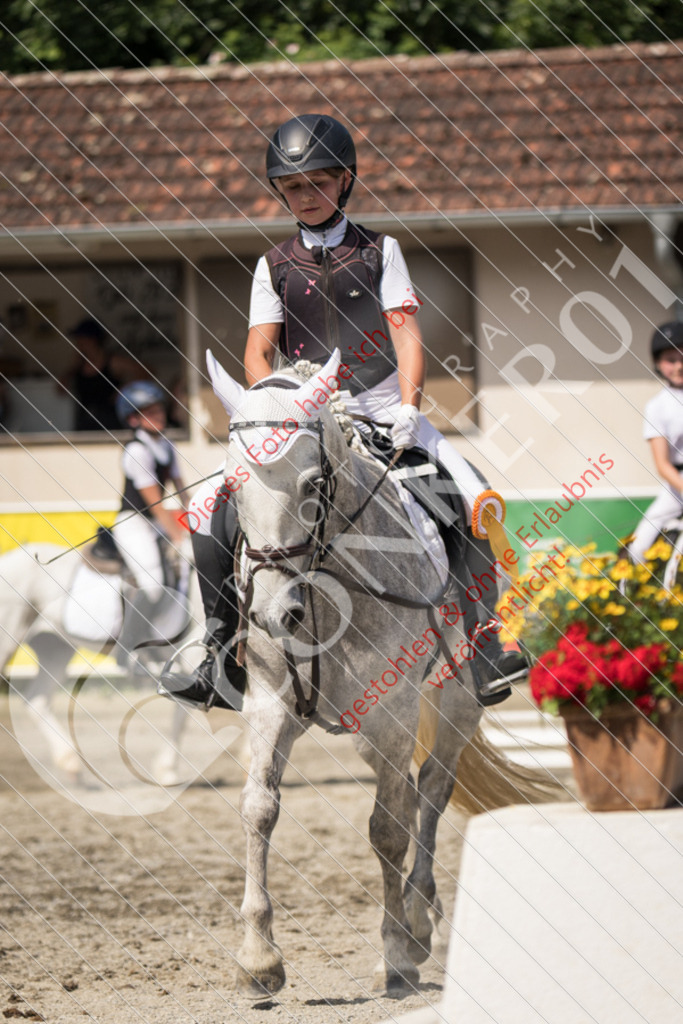 IMG_5214 | Sport-, Event- und Tierfotos in Profiqualität. Einfach auswählen, bestellen und herunterladen. Dein Moment – perfekt festgehalten.