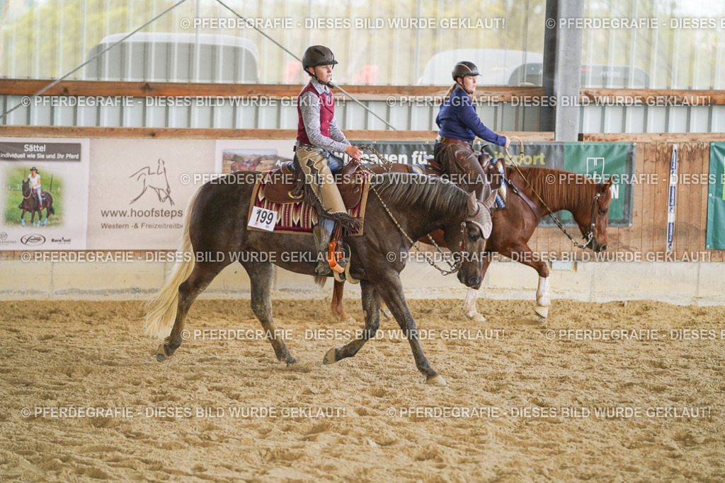 DSC08780 | Pferdegrafie