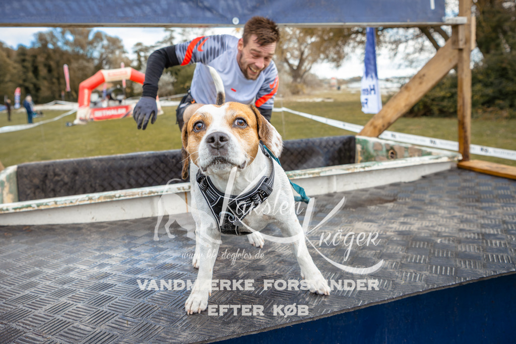 1514_ZZ96222 | kk-dogfotos