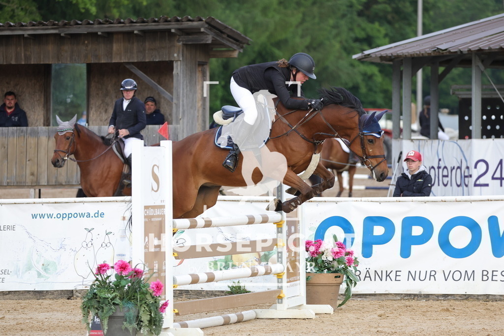 0P6A5829 | Willkommen bei Brunnmayr - Design & Fotografie – Ihrem Spezialisten für Reitturniere und Pferdeveranstaltungen in Oberösterreich, Salzburg und Bayern! Seit über 17 Jahren sind wir leidenschaftlich dabei.
