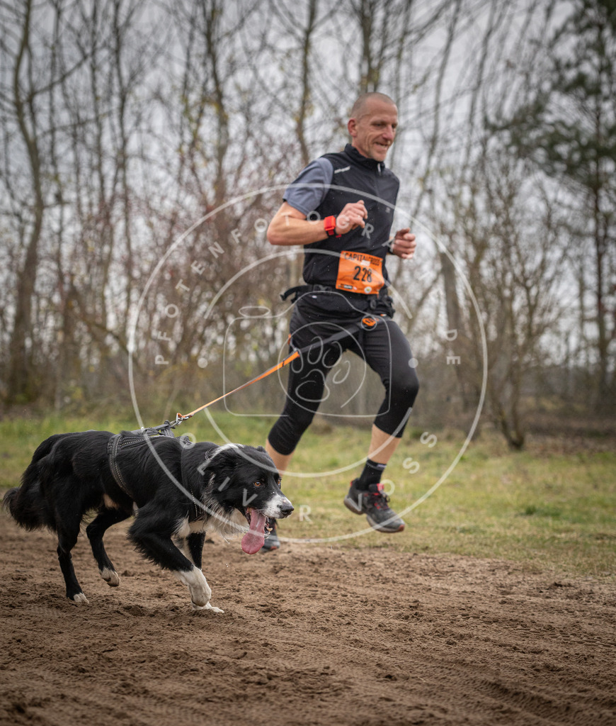 Pfotenfotografie_DV3A0538 | Hundefotografie, Tierfotograf, Pfotenfotografie, Fotoshooting Hund, Hunde Portrait, Hundesport, Hundeportraits, Heideshooting, Hunde, Sportfotograf, Hundefotograf, Turnierhundsport, THS,  - Realisiert mit Pictrs.com