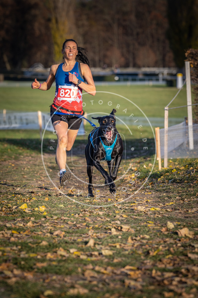 CaniXpix_DV3A3250 | Hundefotografie, Tierfotograf, Pfotenfotografie, Fotoshooting Hund, Hunde Portrait, Hundesport, Hundeportraits, Heideshooting, Hunde, Sportfotograf, Hundefotograf, Turnierhundsport, THS,  - Realisiert mit Pictrs.com