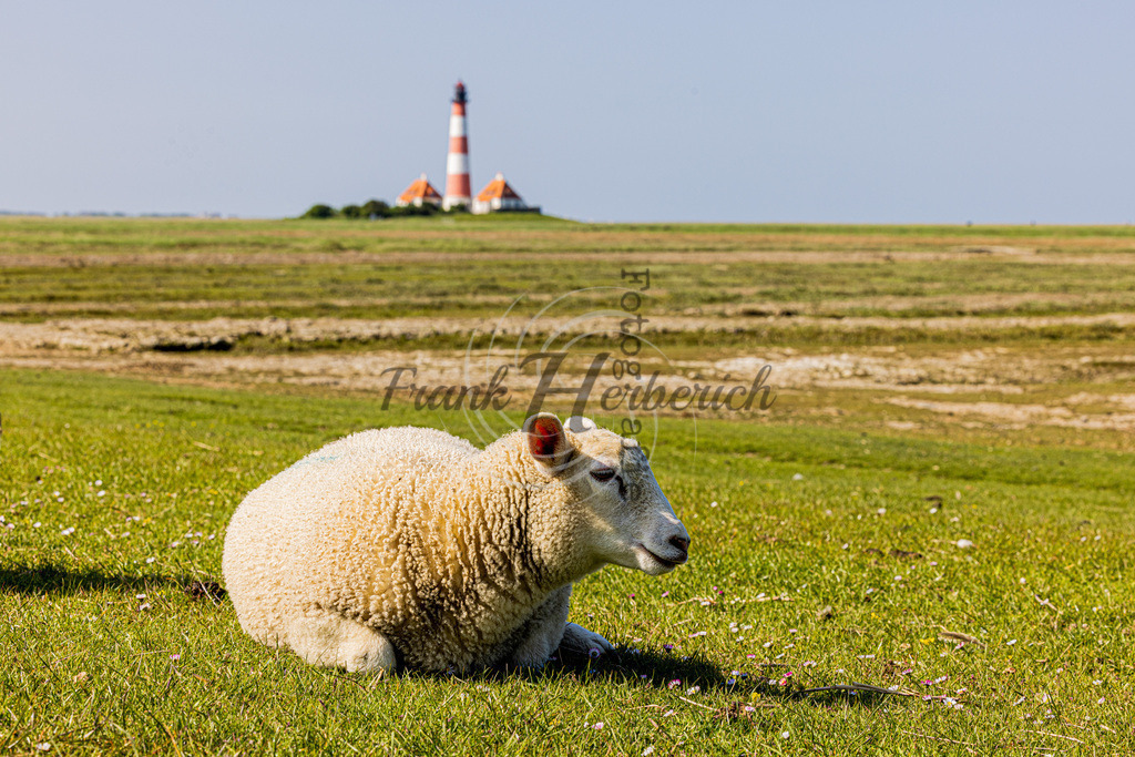 St. Peter Ording | St. Peter Ording - Realisiert mit Pictrs.com