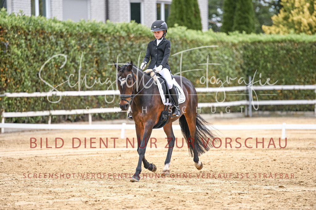 Schugtsche-Aluta25-42.EDressur -331 | Schugtsche Fotografie - Realizzato con Pictrs.com