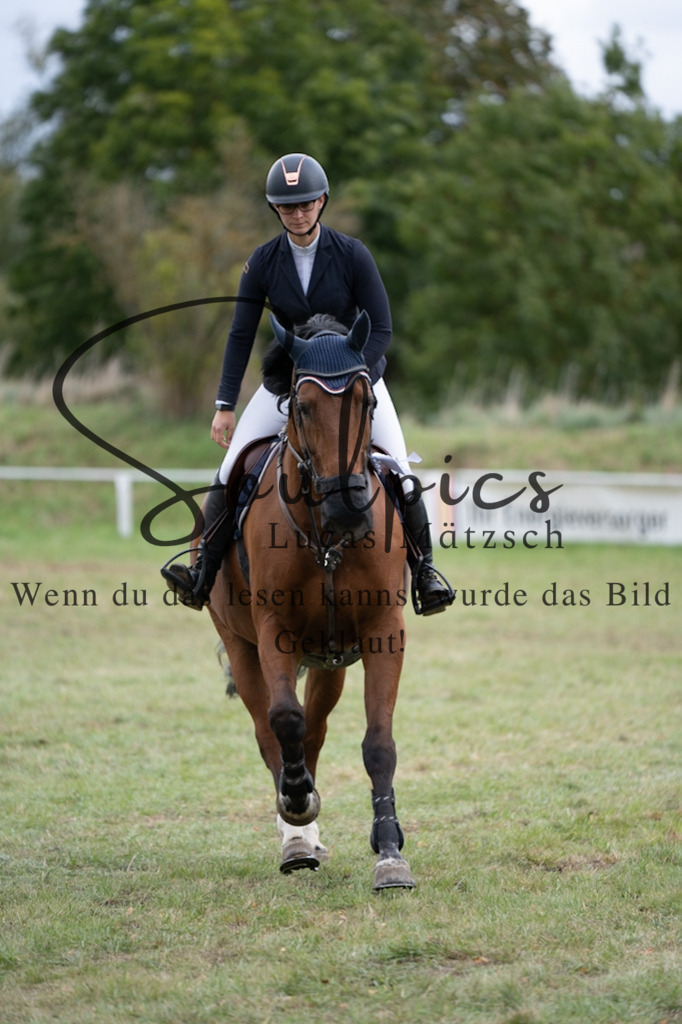 A7V07409 | Turnier/Reitfotograf