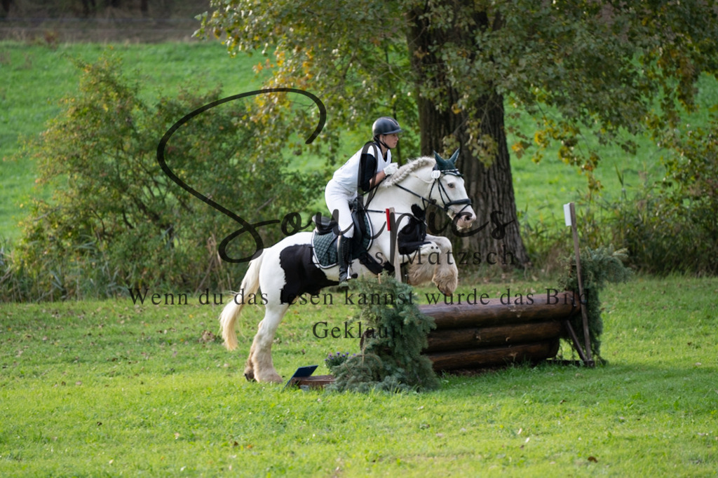 A7V02898 | Turnier/Reitfotograf