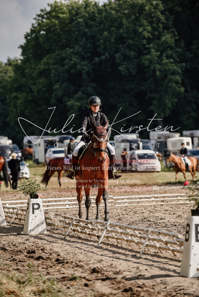 DSC_8524 | Pferde- und Turnierfotografie in Westsachsen. Pferdeportraits, Auftragszeichnungen und intuitive Kunst.