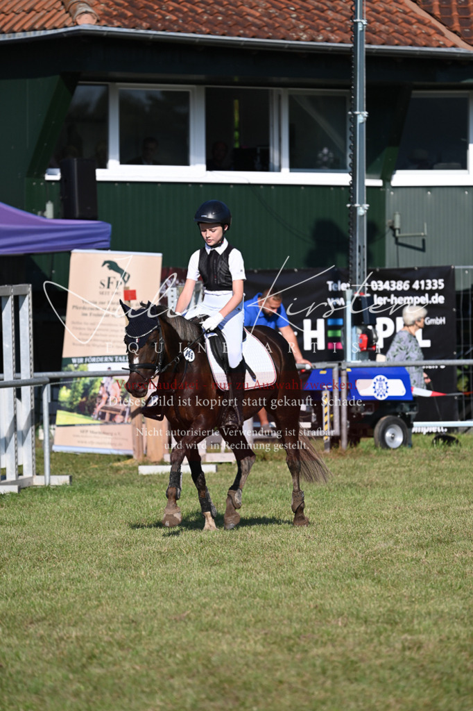 DSC_5001 | Pferde- und Turnierfotografie in Westsachsen. Pferdeportraits, Auftragszeichnungen und intuitive Kunst.