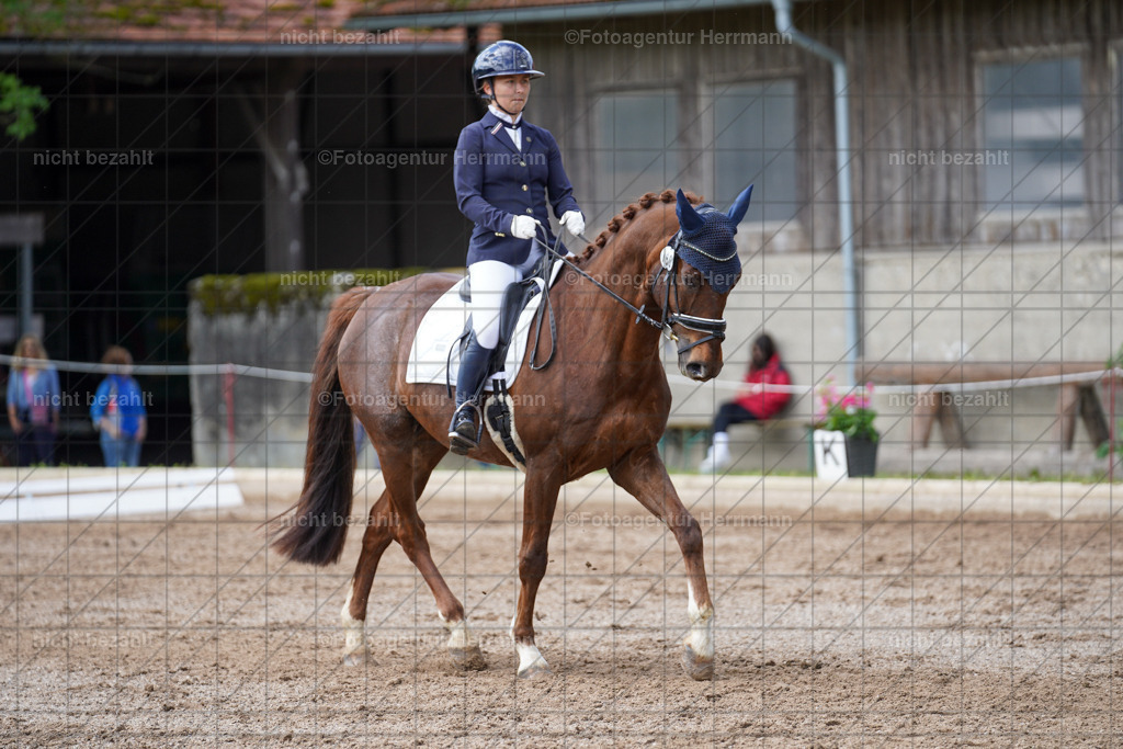 20240519-FAH04956 | Turnierbilder Niederseeon 2024, Vielseitigkeitsdressur, Reitsportbilder aus dem Landkreit Ebersberg, Gut Steinsee, RC Steinsee, Fotoagentur Herrmann