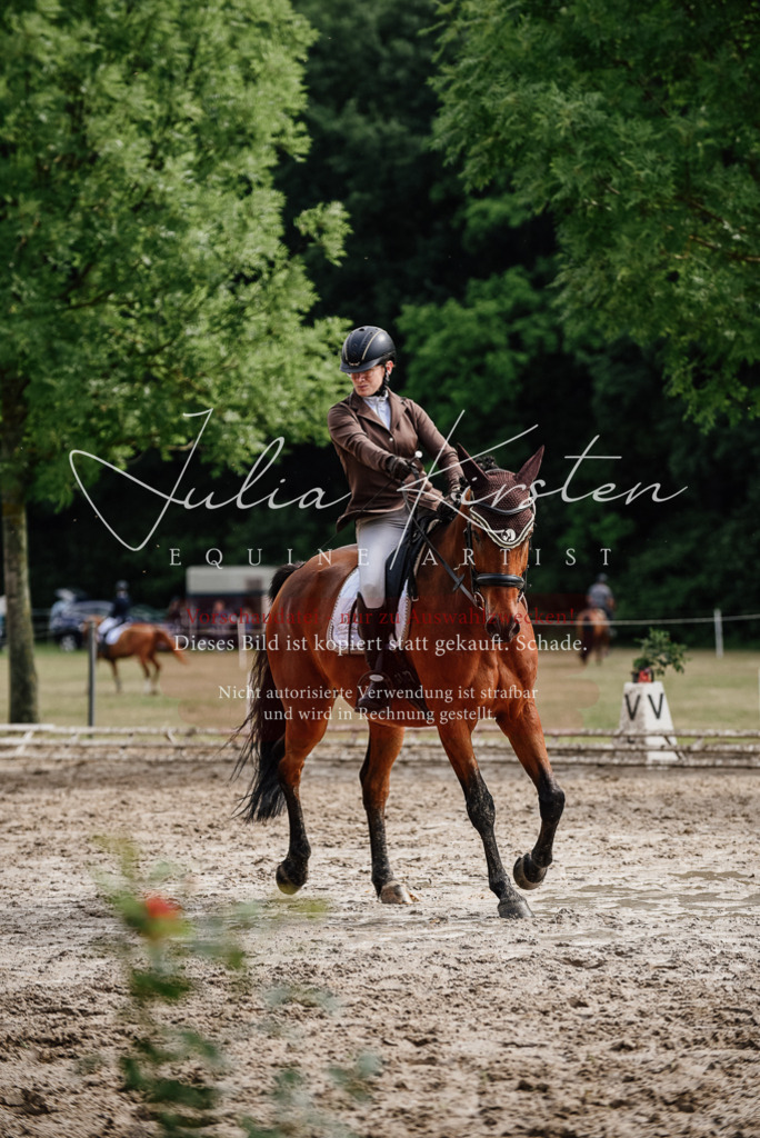 DSC_9506 | Pferde- und Turnierfotografie in Westsachsen. Pferdeportraits, Auftragszeichnungen und intuitive Kunst.