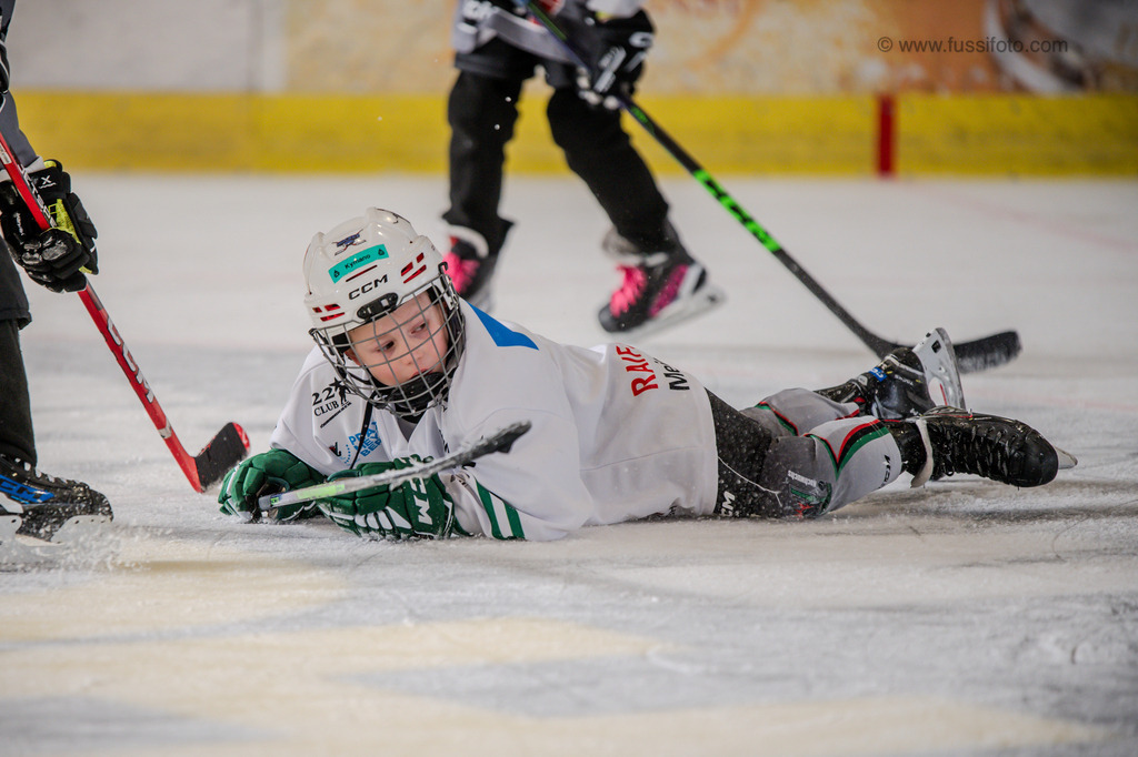 DSC_1266 | "Fussifoto.com – Ihr Ansprechpartner für hochwertige Fotografie! Entdecken Sie kreative Bilder und professionelle Dienstleistungen. Kontaktieren Sie uns für Ihre Projekte!"