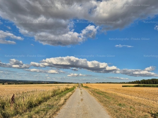 F.Gläser_184754 | Naturfotografie Frauke Gläser - Realisiert mit Pictrs.com