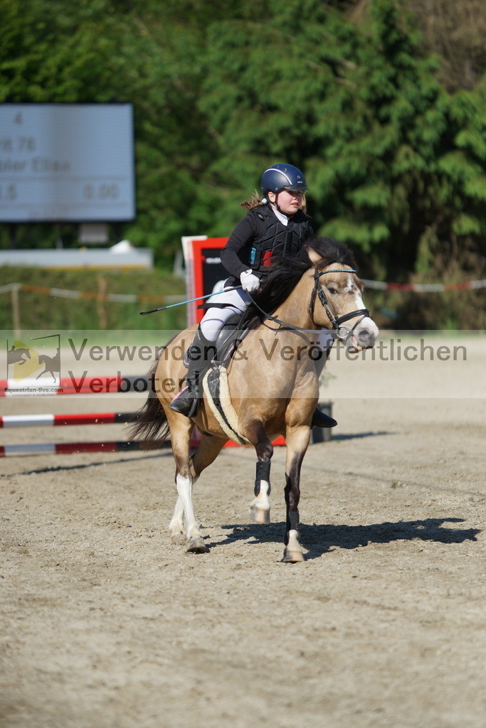 DSC06035 | equestrian-live-com