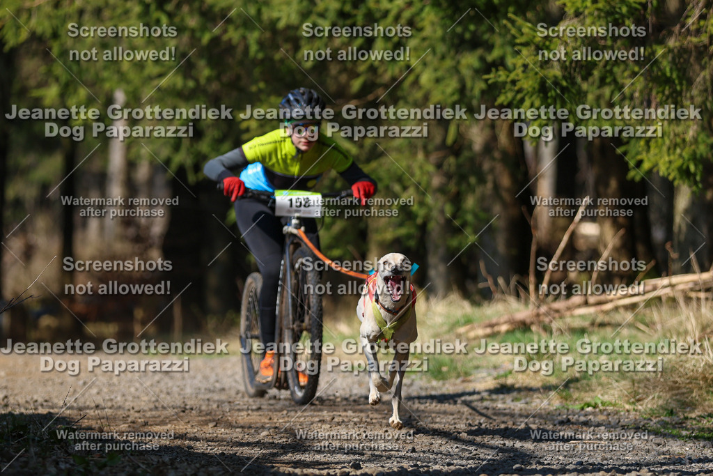 Dog Paparazzi - VCC26-125 | Dog Paparazzi Jeanette Grottendiek Fotografie & Videografie - Realisiert mit Pictrs.com