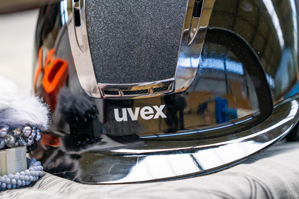 DSC03140 | Pferdegrafie