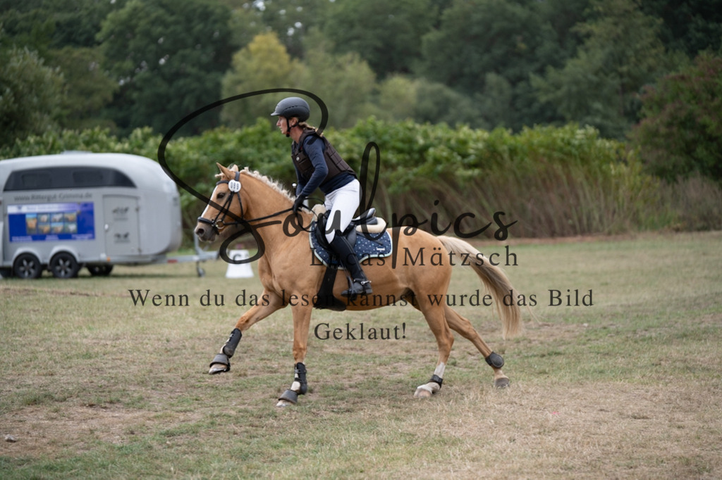 A7V01396 | Pferdefotograf