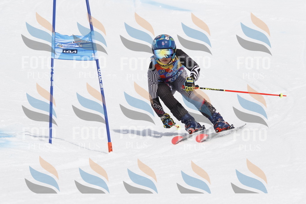 _U3G2411 | holidayphoto