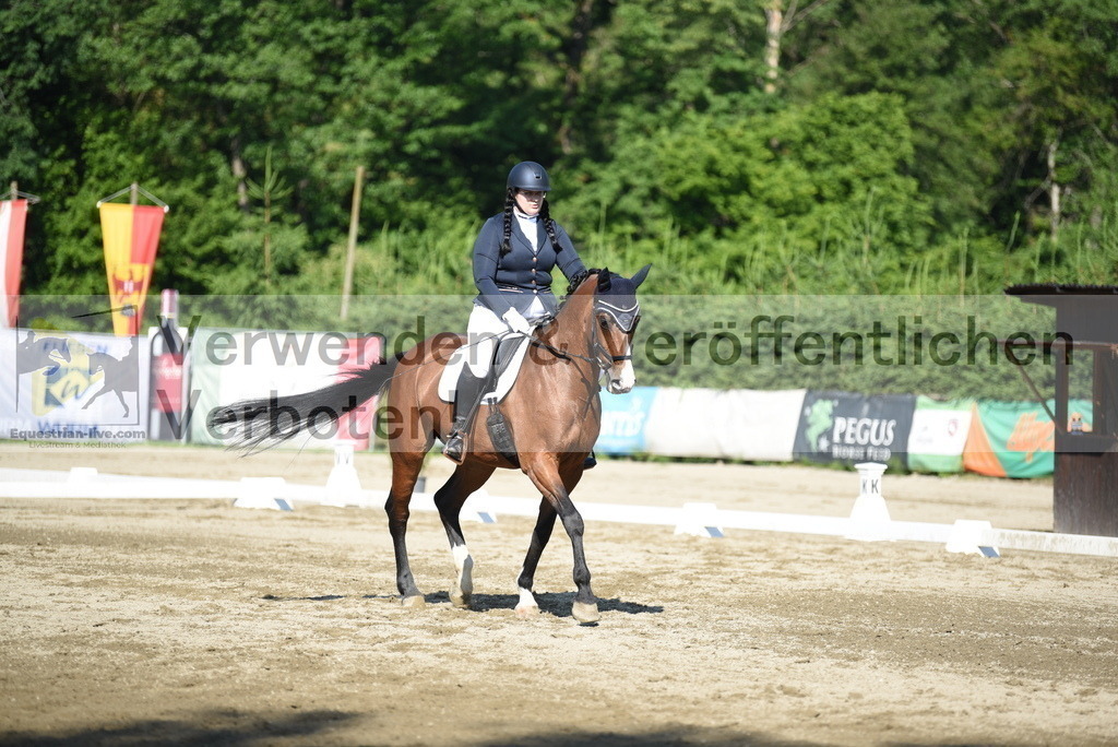 DSC_7293 | equestrian-live-com