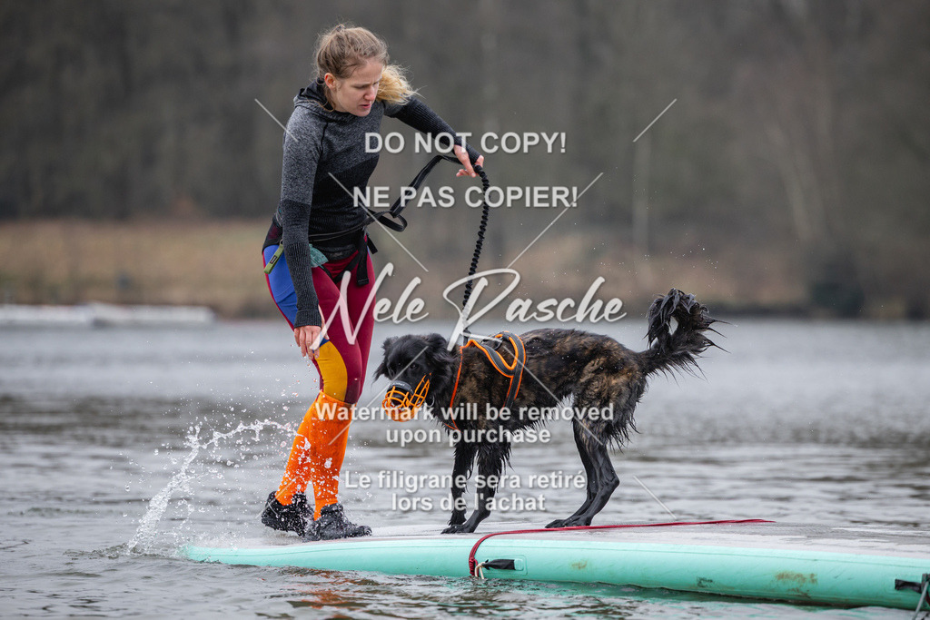 nelerasche_Hulsbeek_Sa1515-1600_564 | nelerasche