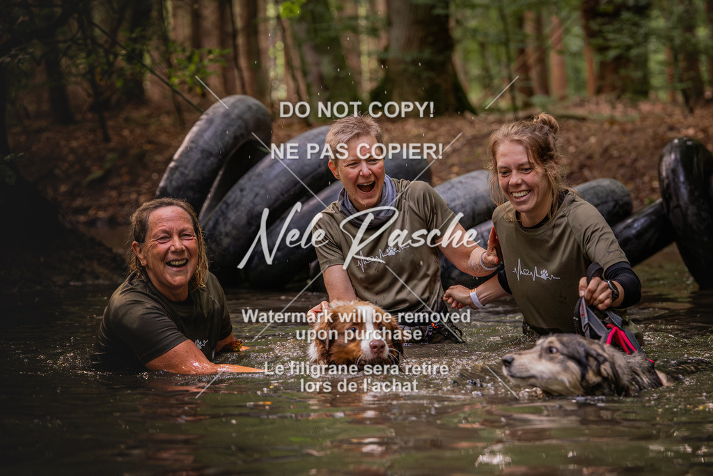 nelerasche_SaWingst0845-1000_315 | nelerasche